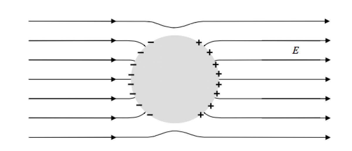Densità di carica superficiale in un conduttore cilindrico infinito immerso in un campo elettrico uniforme
